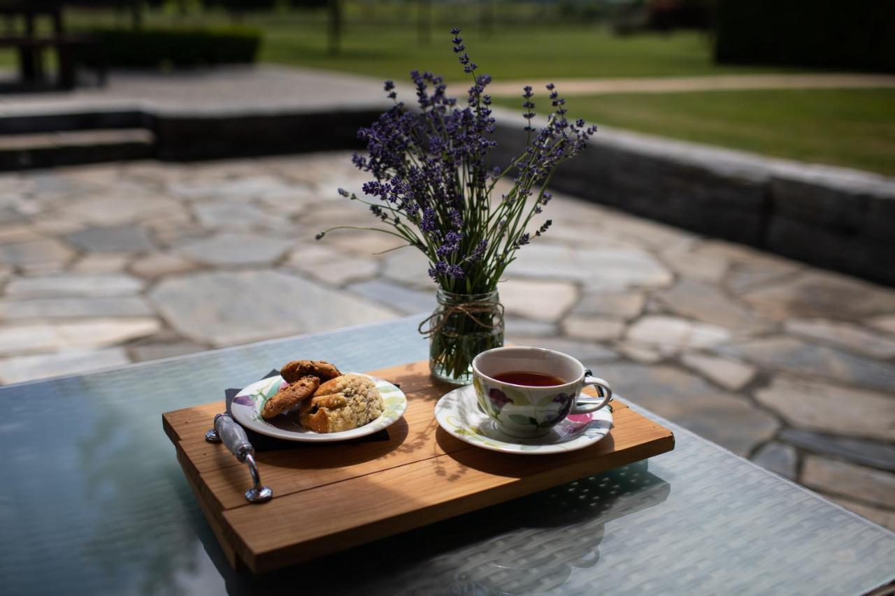 Maple Lodge Luxury Bed & Breakfast Albert Town Extérieur photo